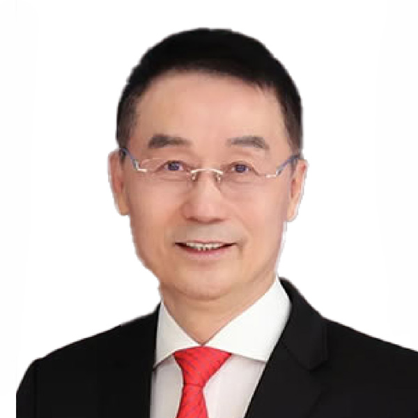 商會架構 大灣區進出口商業總會 大湾区进出口商业总会